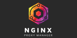 nginxxproxymanager