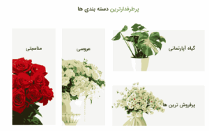 نمونه وبسایت فروشگاه گل و گیاه 1