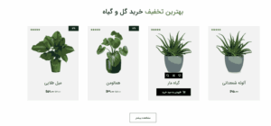 نمونه وبسایت فروشگاه گل و گیاه 2