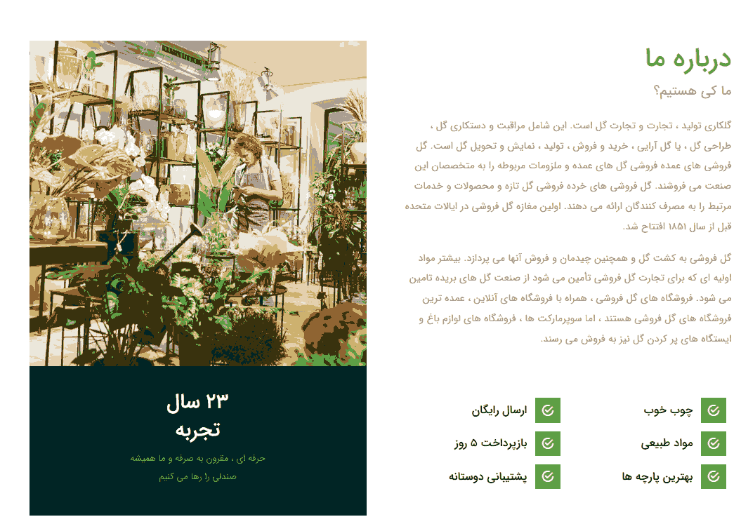 نمونه وبسایت فروشگاه گل و گیاه 4